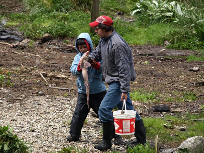 ../../Pictures/231209/038 Caleta Tortel.JPG